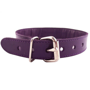 Rouge Garments Purple Studded ORing Studded Collar Bondage Gear > Collars 19 Inches, Both, Collars, Leather, NEWLY-IMPORTED - So Luxe Lingerie