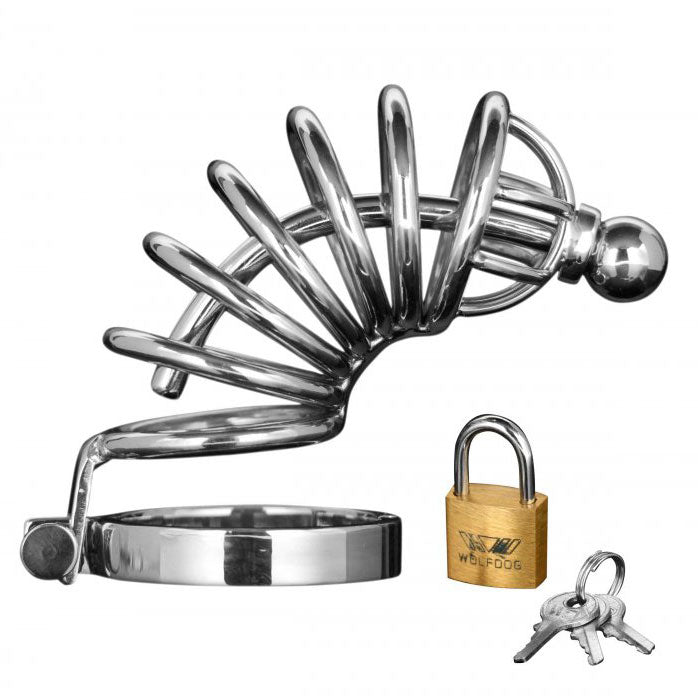 Asylum 6 Ring Locking Chastity Cage Bondage Gear > Male Chastity Male, Male Chastity, NEWLY-IMPORTED, Stainess Steel - So Luxe Lingerie