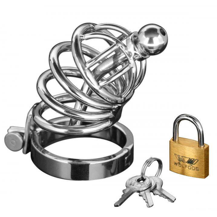 Asylum 4 Ring Locking Chastity Cage Bondage Gear > Male Chastity 4 Inches, Male, Male Chastity, NEWLY-IMPORTED, Stainess Steel - So Luxe Lingerie